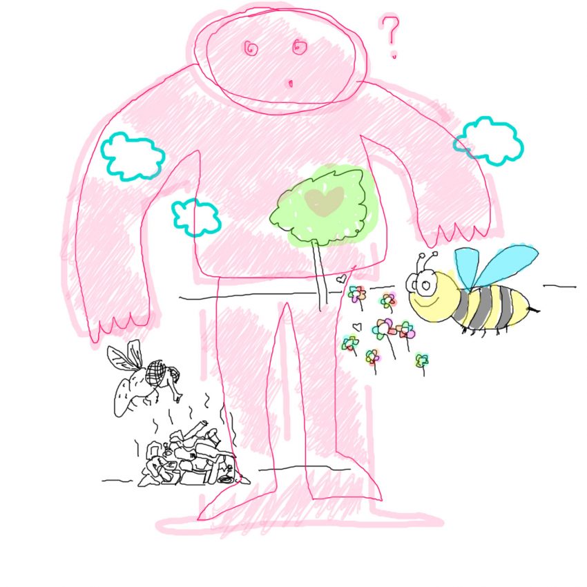 Le relazioni di un’ape